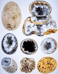 What Are Thundereggs? Formation, Identification, and Where to Find Them
