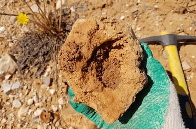 6 Best Ways to Open a Geode Without Ruining the Crystals