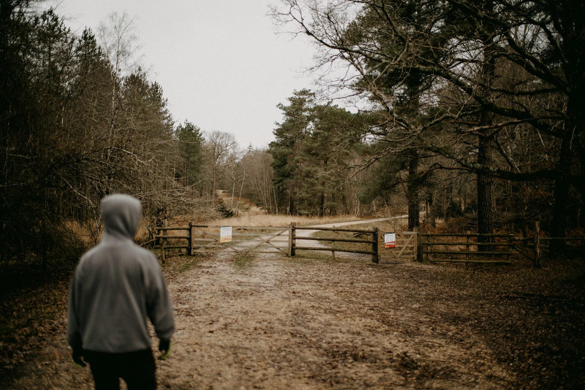 Rockhounding Near National Parks — Where Collecting Is Actually Permitted
