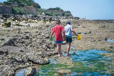 Best Kid-Friendly Rockhounding Spots To Try Out
