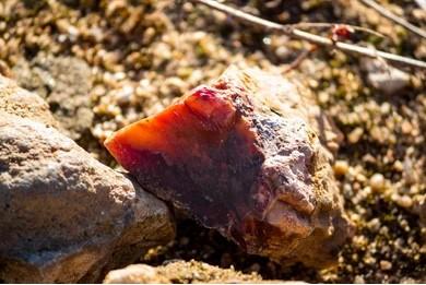 King Tide Rockhounding 2026 Guide: When Extreme Tides Reveal Hidden Gems