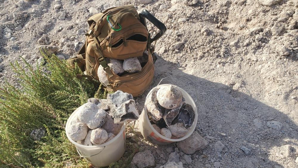 Rockhounding Tools & Equipment: Complete Gear Guide (2026)