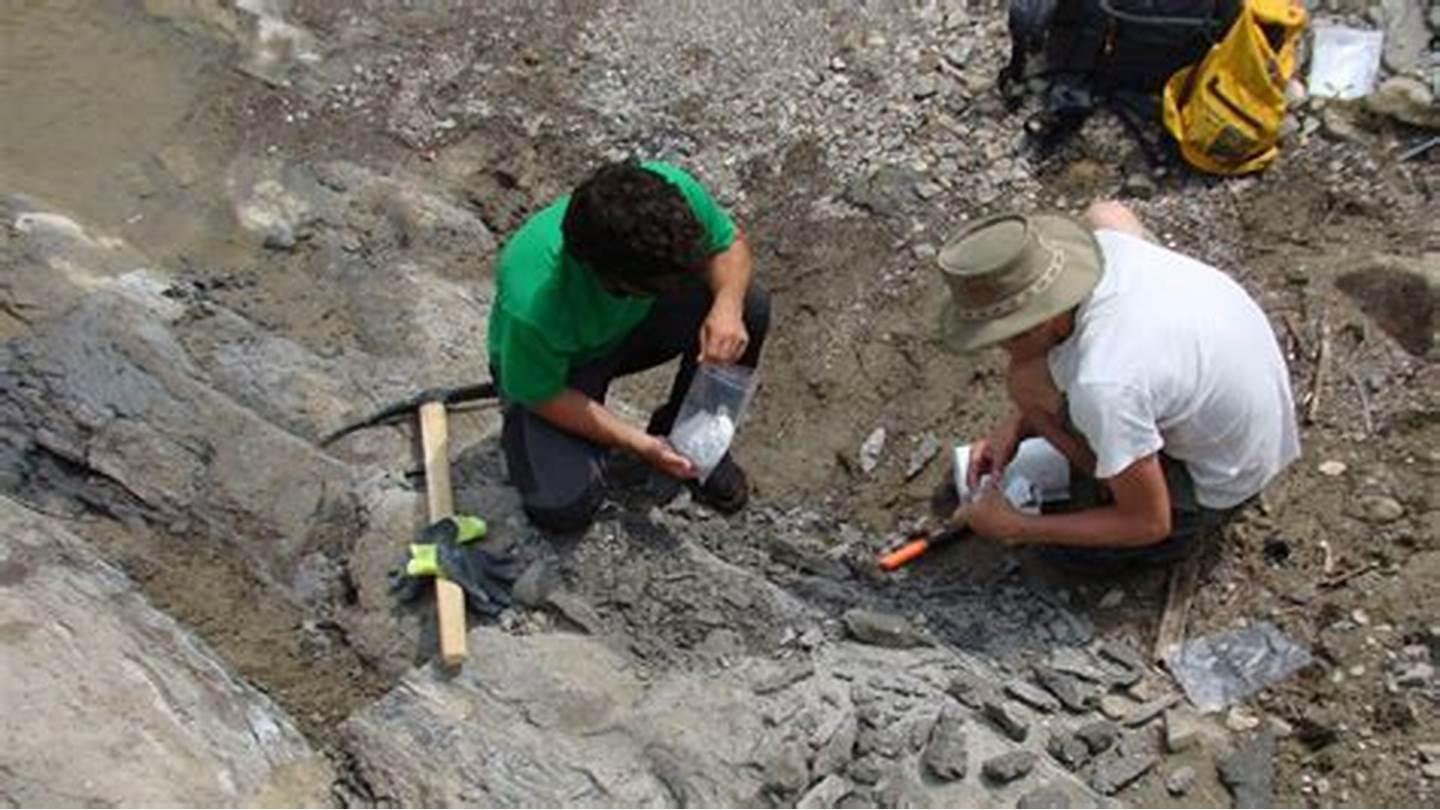 Top 10 Gemstone Mines to Visit in the U.S. | Best Gem Mining Destinations