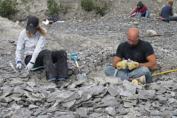 Rockhounding in Hoboken, USA: What You Need to Know