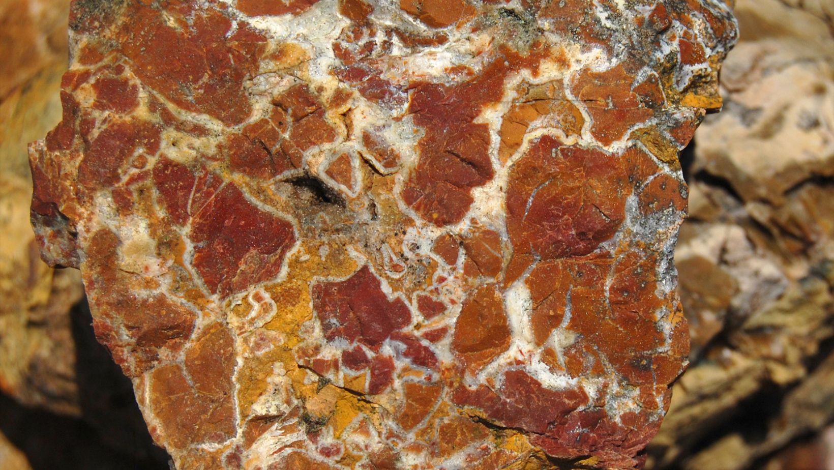 Jasper Image