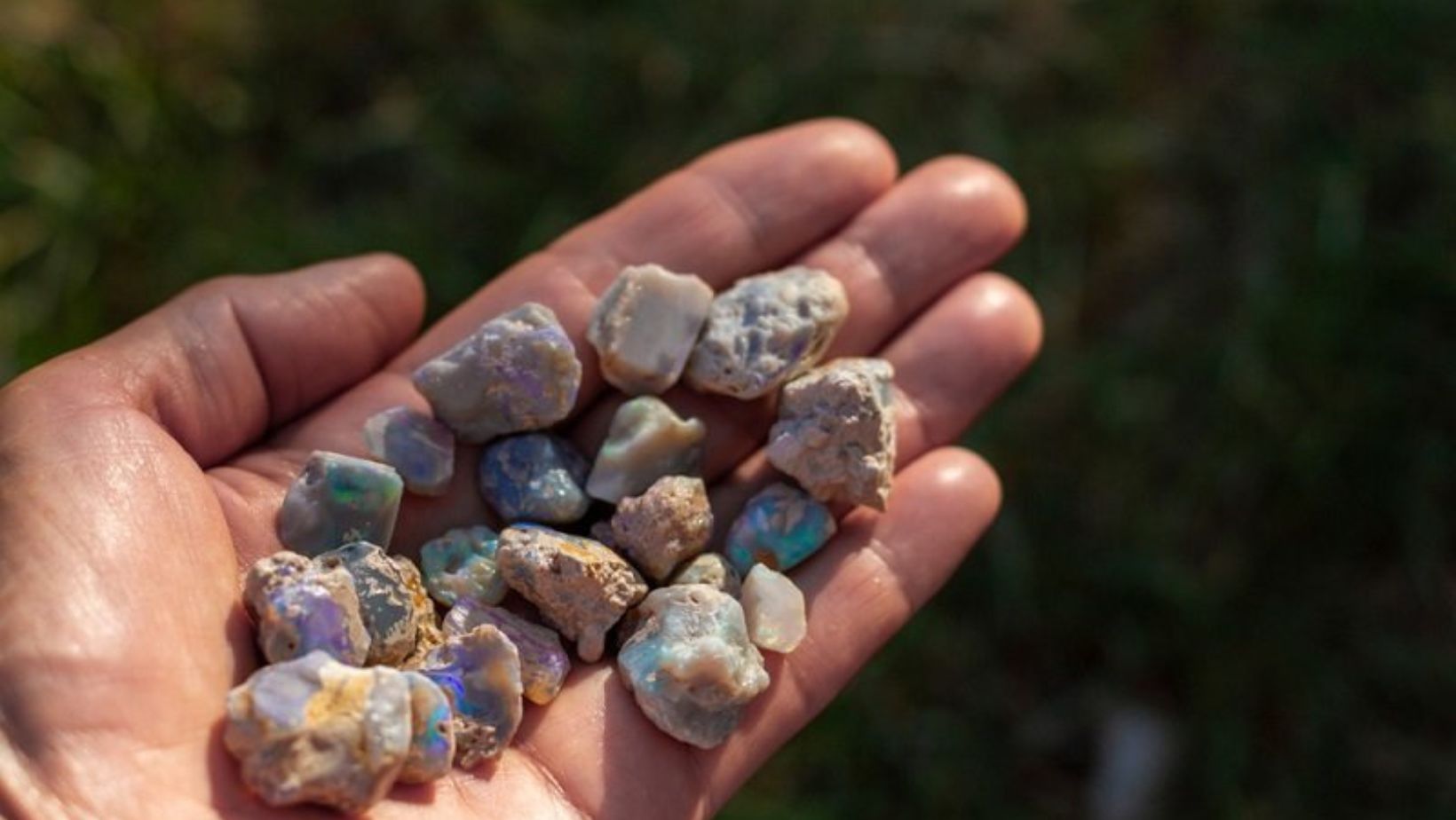 Opal Image